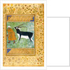 An Indian black buck being led by its keeper by Anonymous
