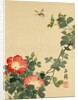 Wasp, Red Flower and Foliage by Seiho