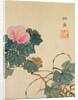 Snail, Pink Flower and Foliage by Shasai