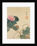 Snail, Pink Flower and Foliage by Shasai