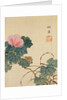 Snail, Pink Flower and Foliage by Shasai