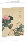 Snail, Pink Flower and Foliage by Shasai