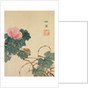 Snail, Pink Flower and Foliage by Shasai