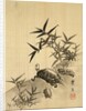 Tortoises and Bamboo by Siuseki