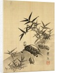 Tortoises and Bamboo by Siuseki