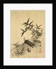 Tortoises and Bamboo by Siuseki