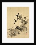 Tortoises and Bamboo by Siuseki