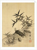 Tortoises and Bamboo by Siuseki