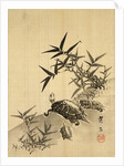 Tortoises and Bamboo by Siuseki
