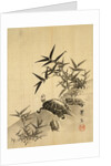 Tortoises and Bamboo by Siuseki