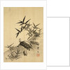 Tortoises and Bamboo by Siuseki