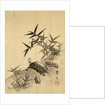 Tortoises and Bamboo by Siuseki