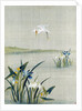 White crested heron flying over a lake with blue and white irises by Unknown