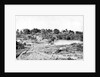 View in Cantonment by Captain Linnaeus Tripe