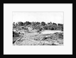 View in Cantonment by Captain Linnaeus Tripe