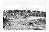 View in Cantonment by Captain Linnaeus Tripe
