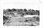 View in Cantonment by Captain Linnaeus Tripe