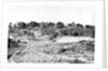 View in Cantonment by Captain Linnaeus Tripe