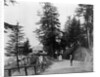Simla by Samuel Bourne