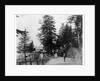 Simla by Samuel Bourne