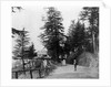 Simla by Samuel Bourne