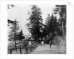 Simla by Samuel Bourne