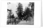 Simla by Samuel Bourne
