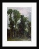 Trees at Hampstead by John Constable