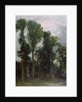 Trees at Hampstead by John Constable