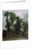 Trees at Hampstead by John Constable