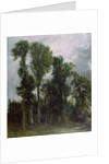 Trees at Hampstead by John Constable