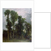 Trees at Hampstead by John Constable