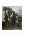 Trees at Hampstead by John Constable