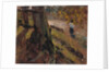 Study of Tree Trunks by John Constable