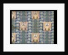 Furnishing fabric by F. Steiner & Co.