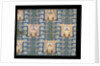 Furnishing fabric by F. Steiner & Co.