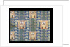 Furnishing fabric by F. Steiner & Co.