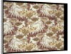 Furnishing fabric by F. Steiner & Co.
