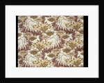 Furnishing fabric by F. Steiner & Co.