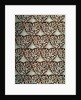 Bird furnishing fabric by Edward William Godwin