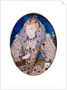 Portrait of Queen Elizabeth I by Nicholas Hilliard