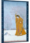 Girl beneath a tree gazing at a pair of pigeons. India, late 18th century by Unknown