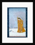 Girl beneath a tree gazing at a pair of pigeons. India, late 18th century by Unknown