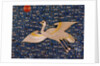 Wild Goose. China, 18th-19th century by Unknown