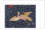 Wild Goose. China, 18th-19th century by Unknown