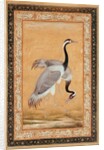 A Pair of Cranes by Ustad Mansur