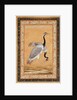 A Pair of Cranes by Ustad Mansur