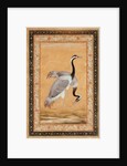 A Pair of Cranes by Ustad Mansur