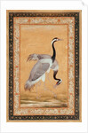 A Pair of Cranes by Ustad Mansur