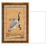 A Pair of Cranes by Ustad Mansur